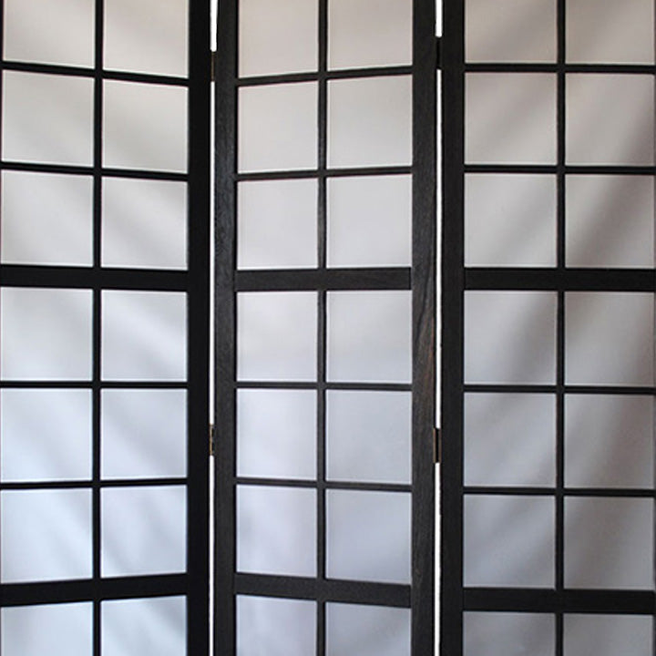 3 Panel Room Divider with Frosted Glass Like Plastic Inserts, Black and White