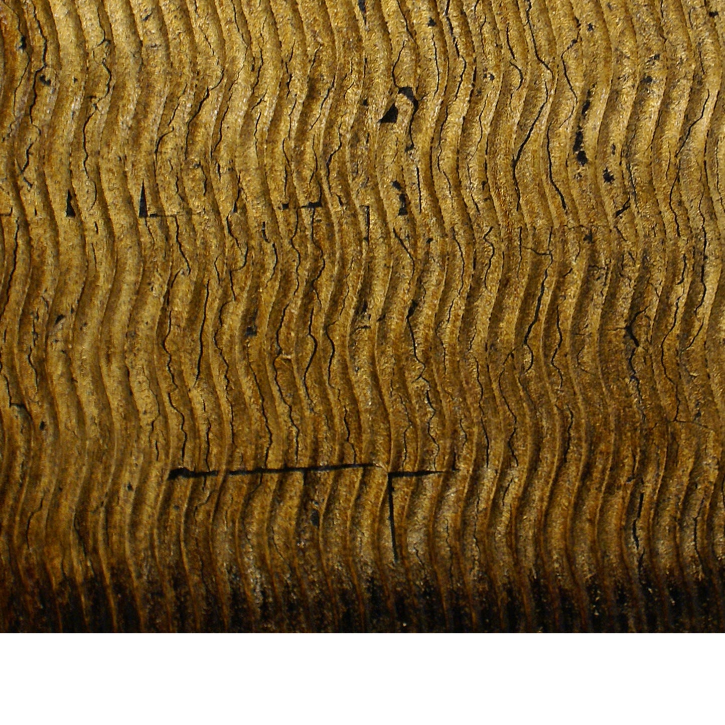 Modern Style Wood Wall Decor With Patterned Carving Large Gold & Brown