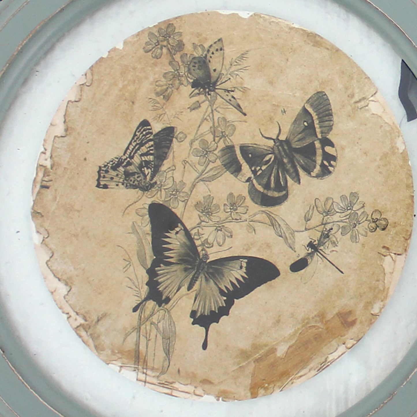 2 Piece Glass Plate Design Wall Decor With Ribbon Hanging Gray And Clear