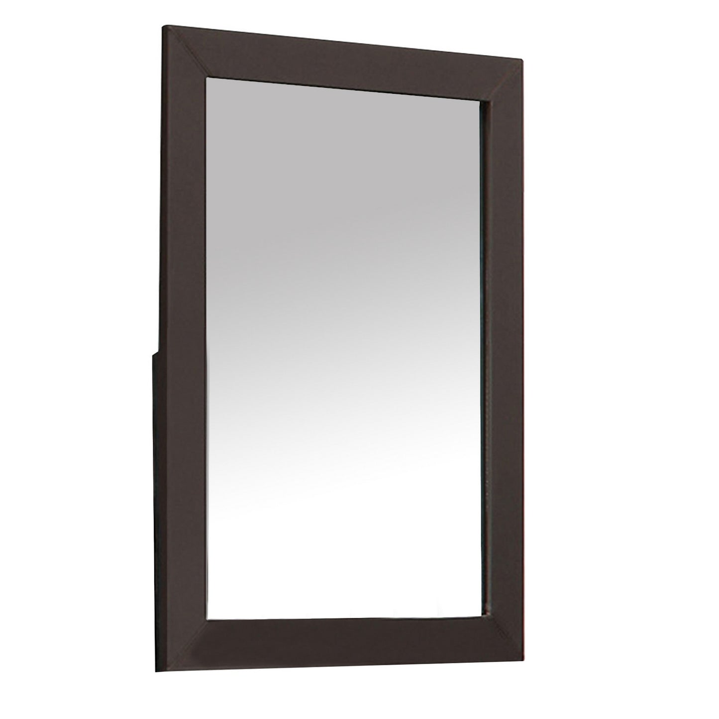 Contemporary Style Faux Leather Upholstered Wooden Framed Mirror Brown