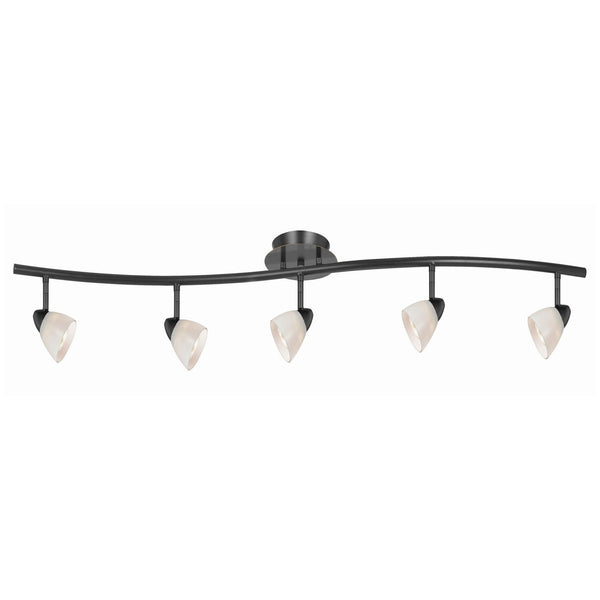5 Light 120V Metal Track Light Fixture with Glass Shade Black and White