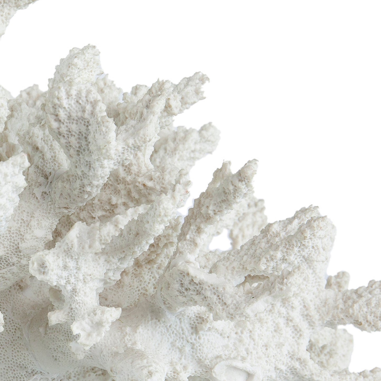 Lily 10 Inch Faux Coral Accent Sculpture Polyresin Decorative Piece White