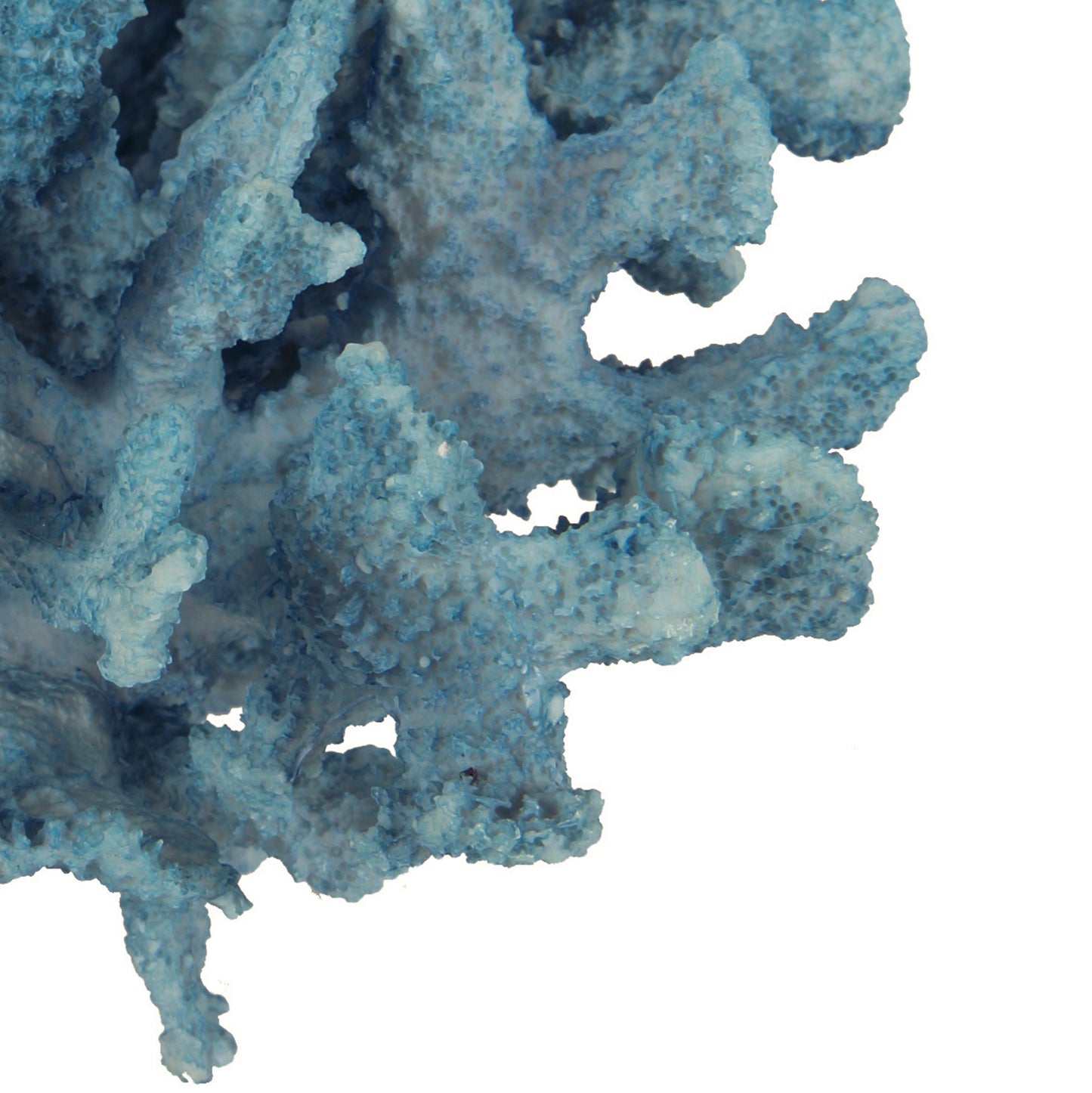 Pax 10 Inch Faux Coral Accent Tabletop Decor Powder Blue Polyresin