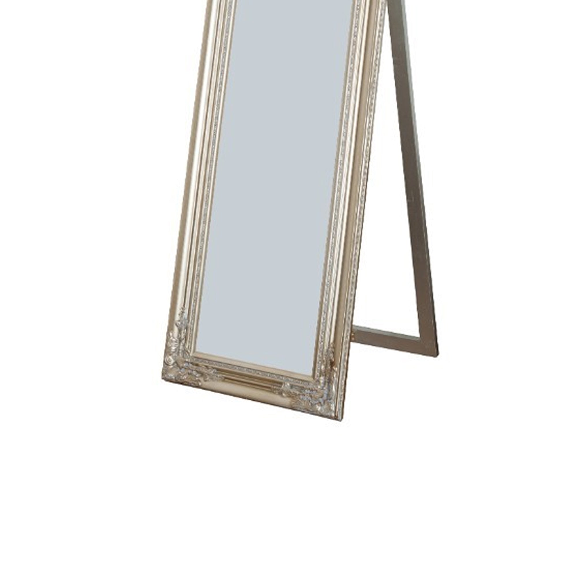Camilla Full Length Standing Mirror With Decorative Design Champagne-zoom-3