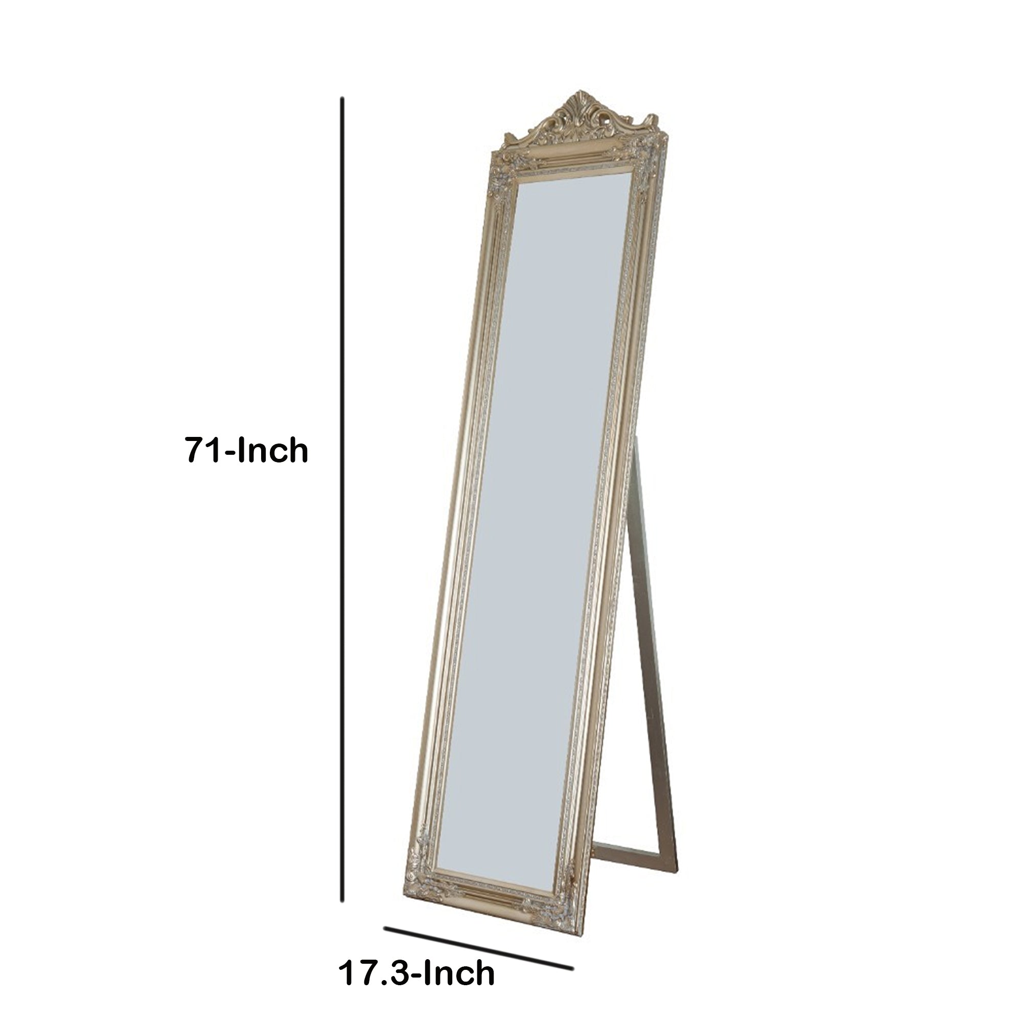 Camilla Full Length Standing Mirror With Decorative Design Champagne-zoom-5
