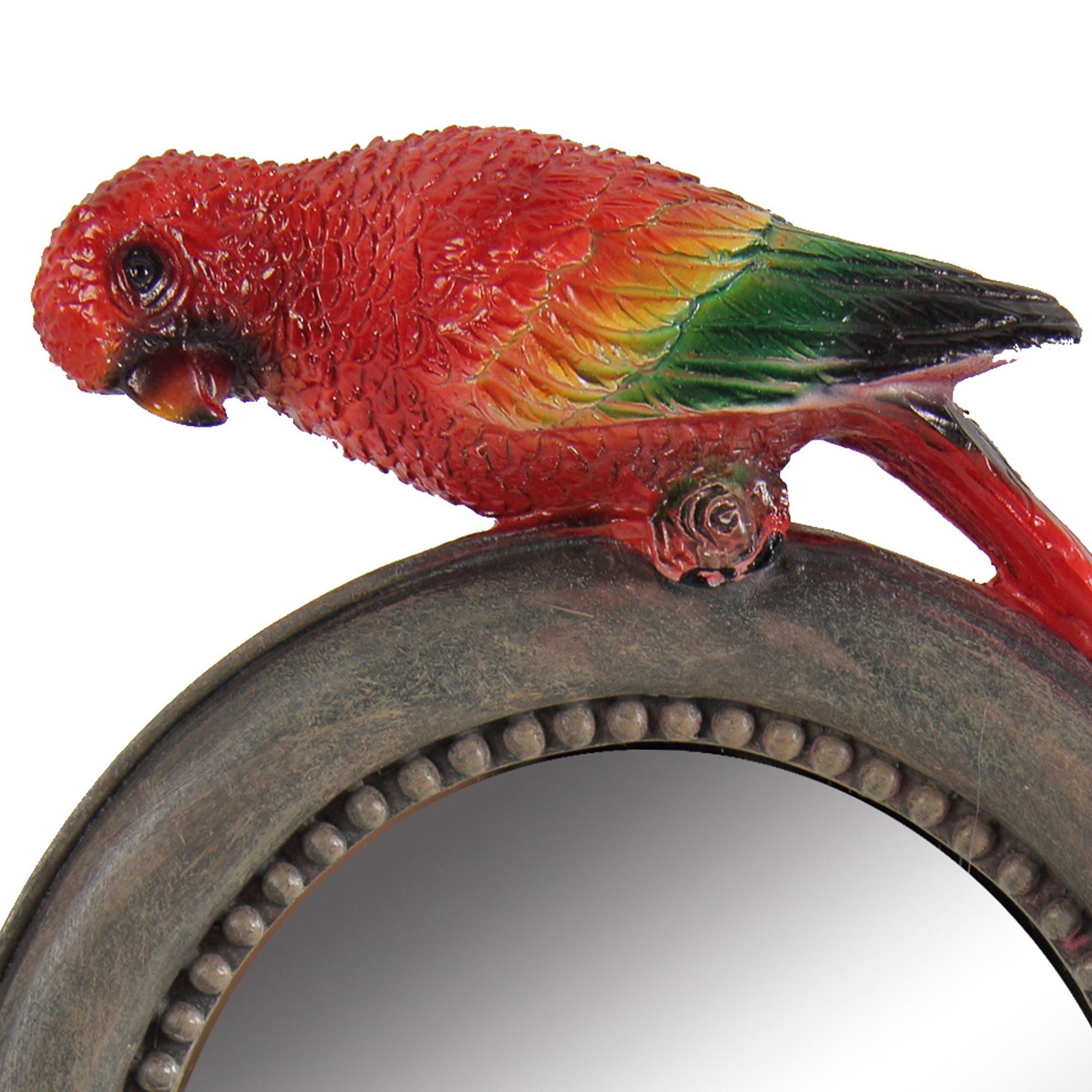 Round Wooden Framed Mirror With Parrot Sculpture Top Multicolor-zoom-4