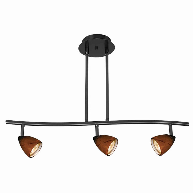 3 Light 120V Metal Track Light Fixture with Glass Shade Black and Brown-zoom-