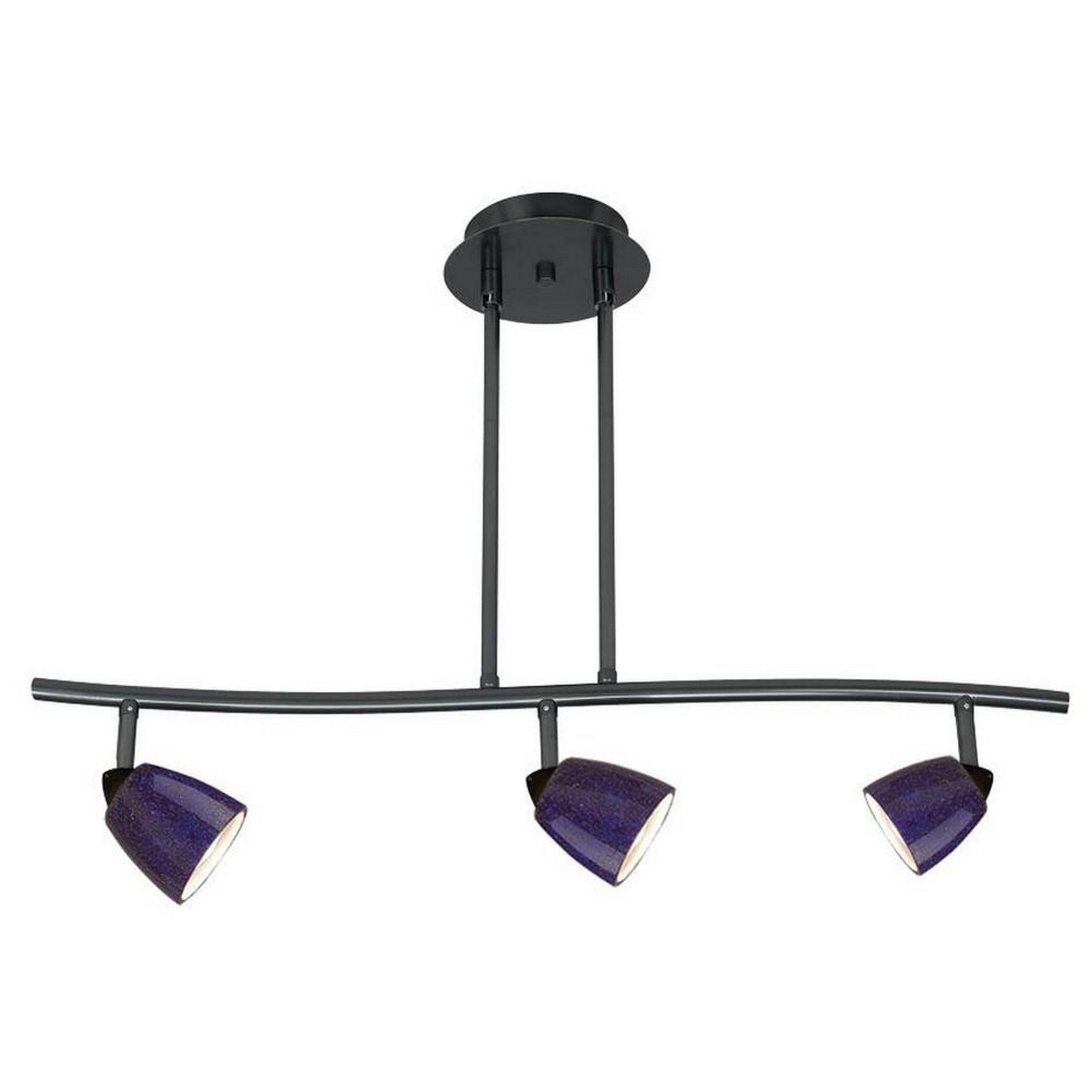 3 Light 120V Metal Track Light Fixture with Glass Shade Black and Blue