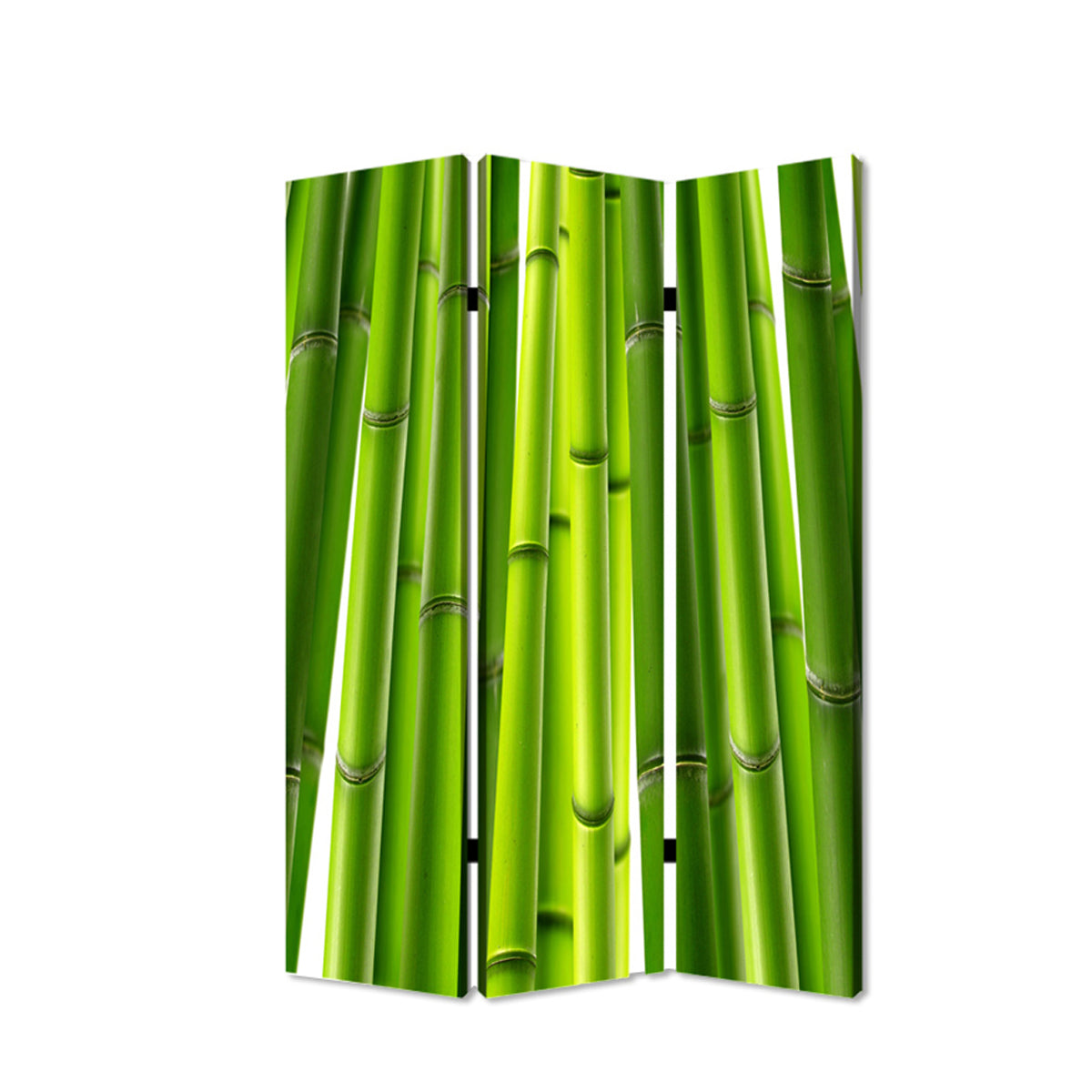 3 Panel Foldable Room Divider with Bamboo Design Print, Green-zoom-1