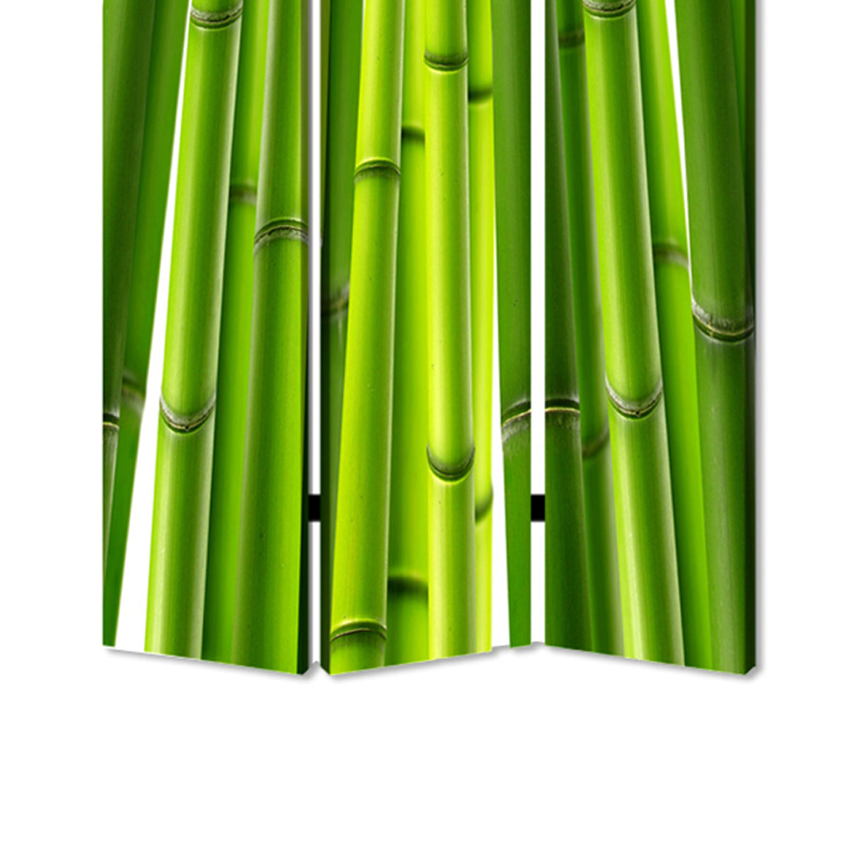 3 Panel Foldable Room Divider with Bamboo Design Print, Green-zoom-4