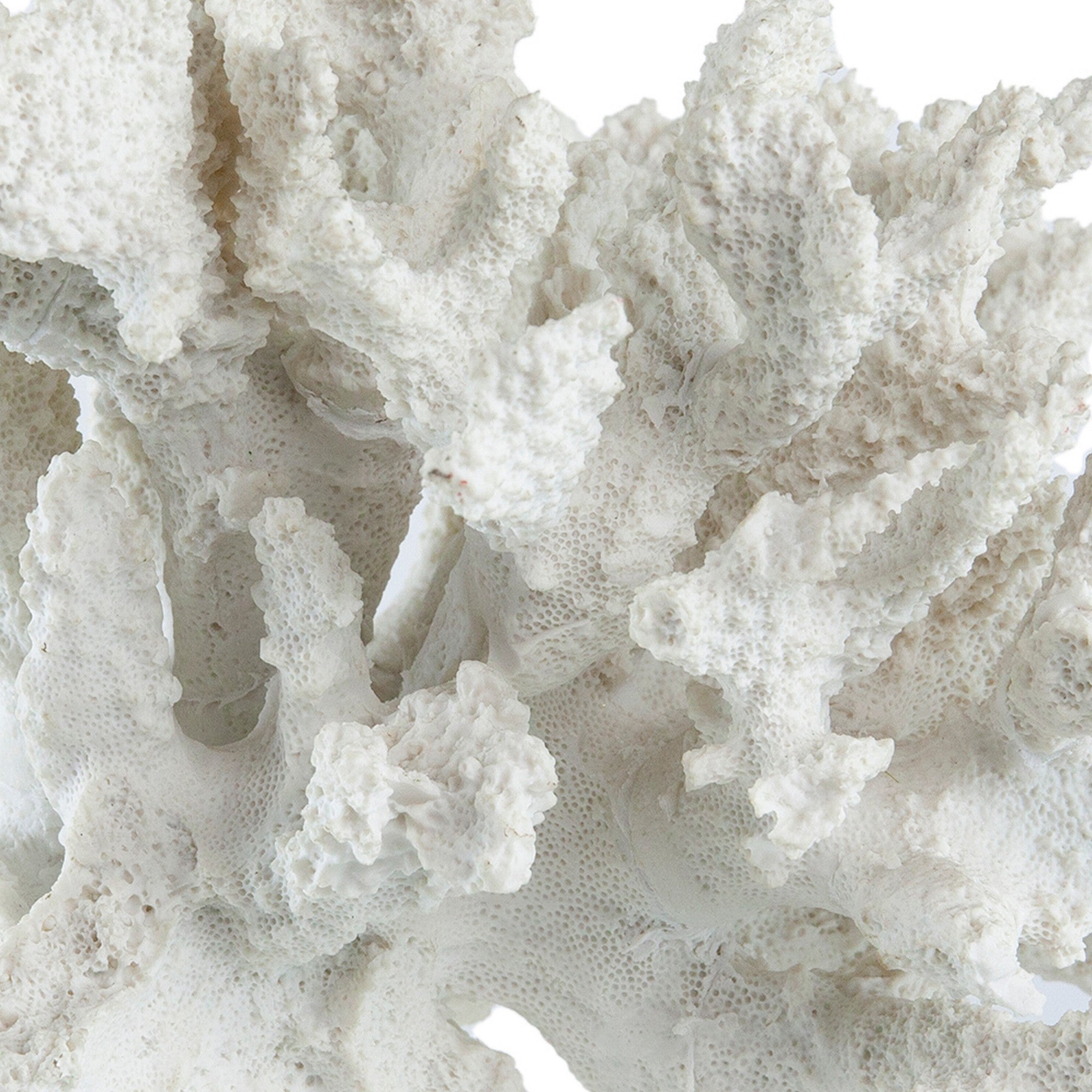 Lily 10 Inch Faux Coral Accent Sculpture Polyresin Decorative Piece White-zoom-2