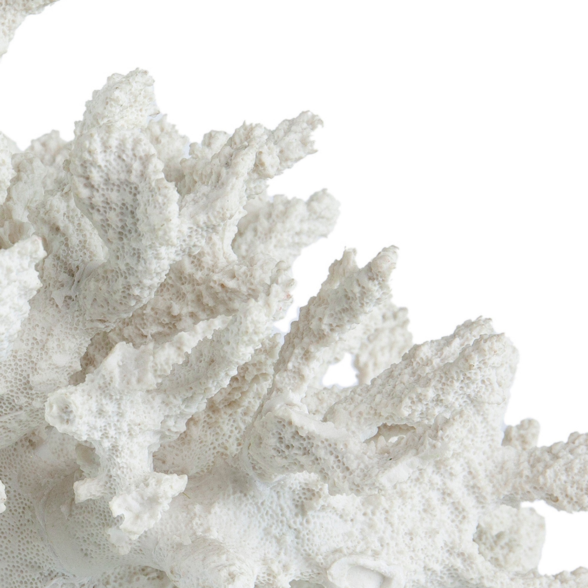 Lily 10 Inch Faux Coral Accent Sculpture Polyresin Decorative Piece White-zoom-3