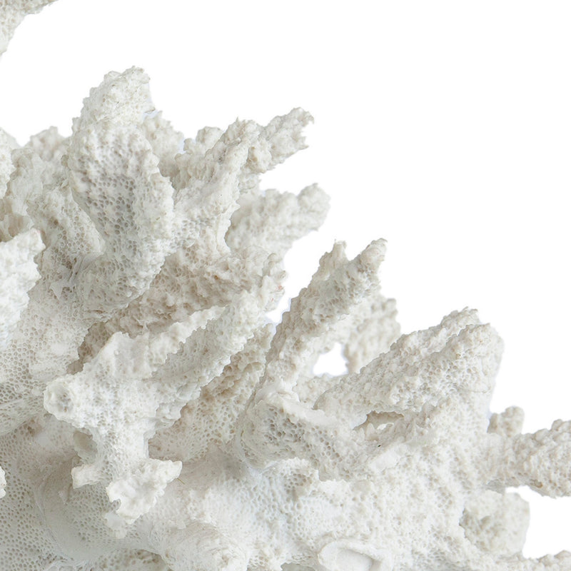 Lily 10 Inch Faux Coral Accent Sculpture Polyresin Decorative Piece White-zoom-