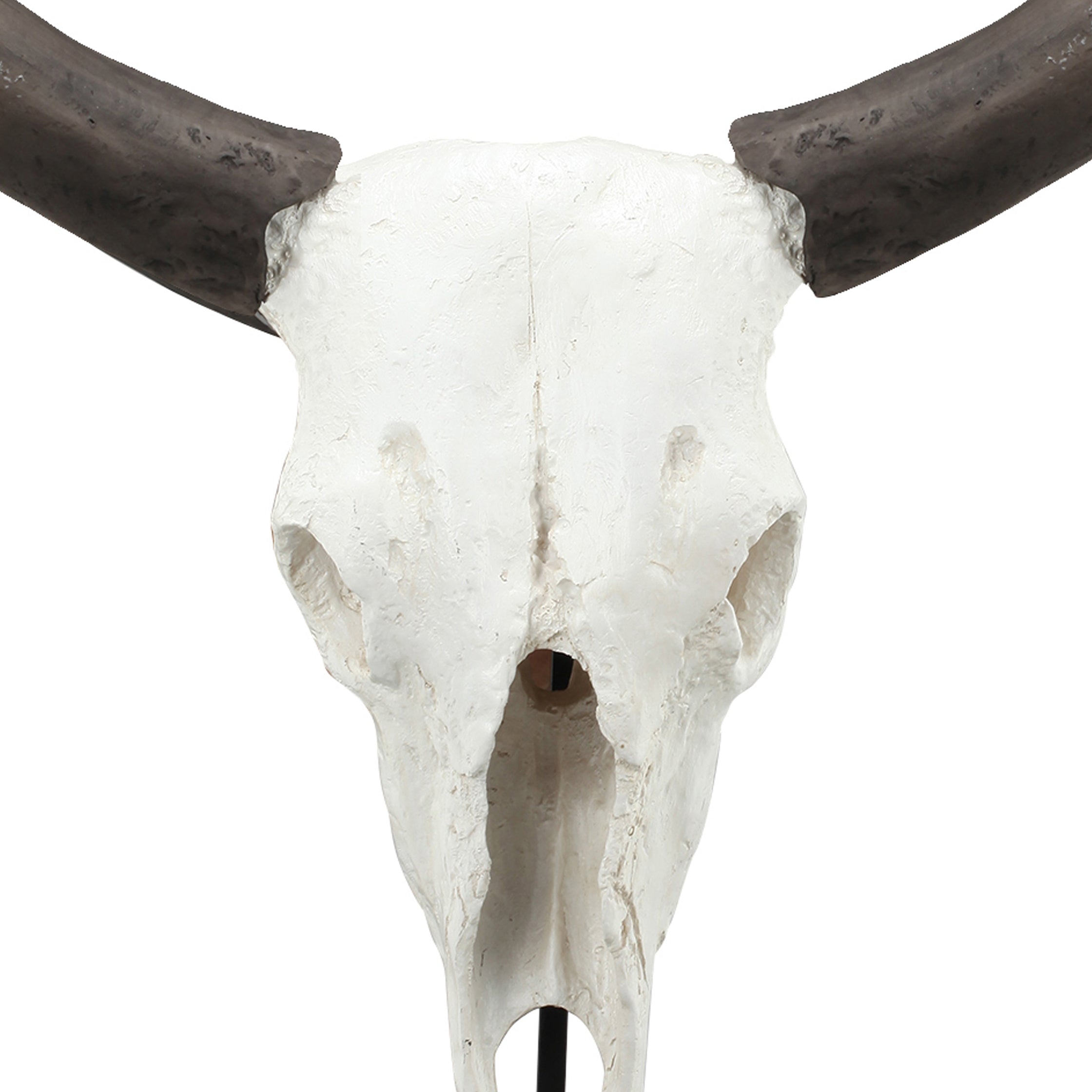 26 Inch Resin Cow Skull Accent Table Decoration Metal Block Base White