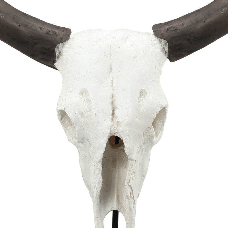 26 Inch Resin Cow Skull Accent Table Decoration Metal Block Base White-zoom-