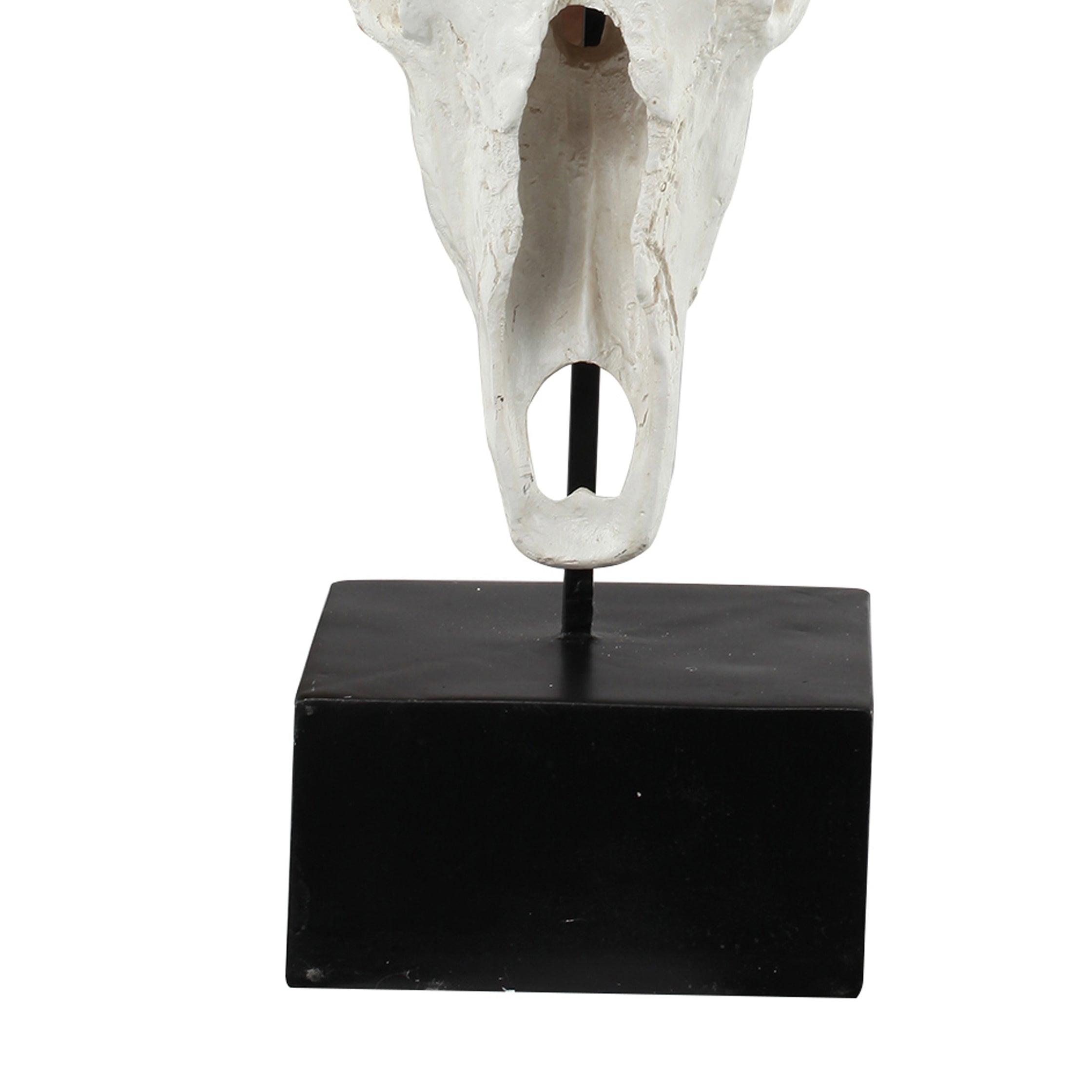 26 Inch Resin Cow Skull Accent Table Decoration Metal Block Base White-zoom-4
