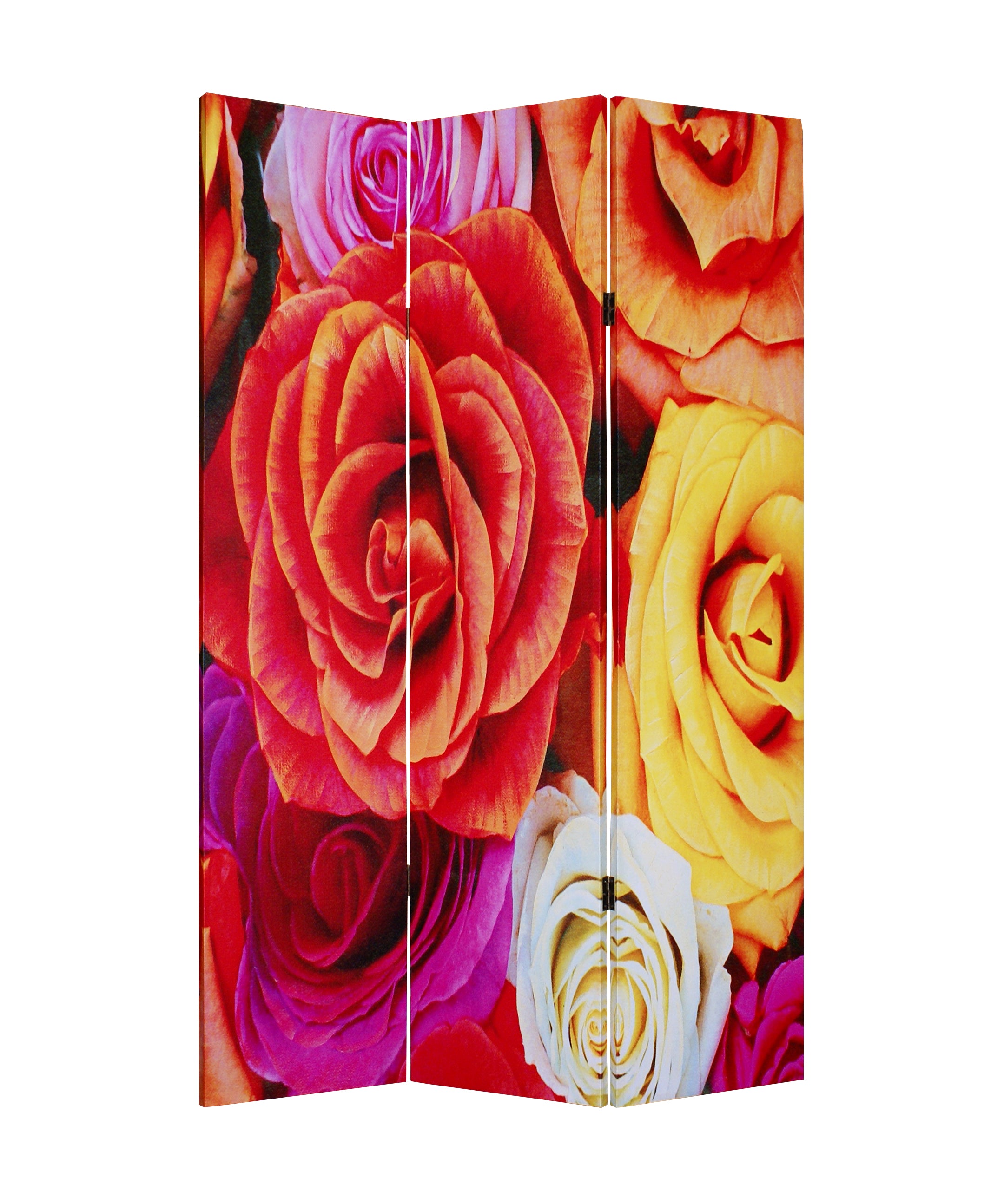 Screen Gems Daisy And Rose Screen-zoom-4