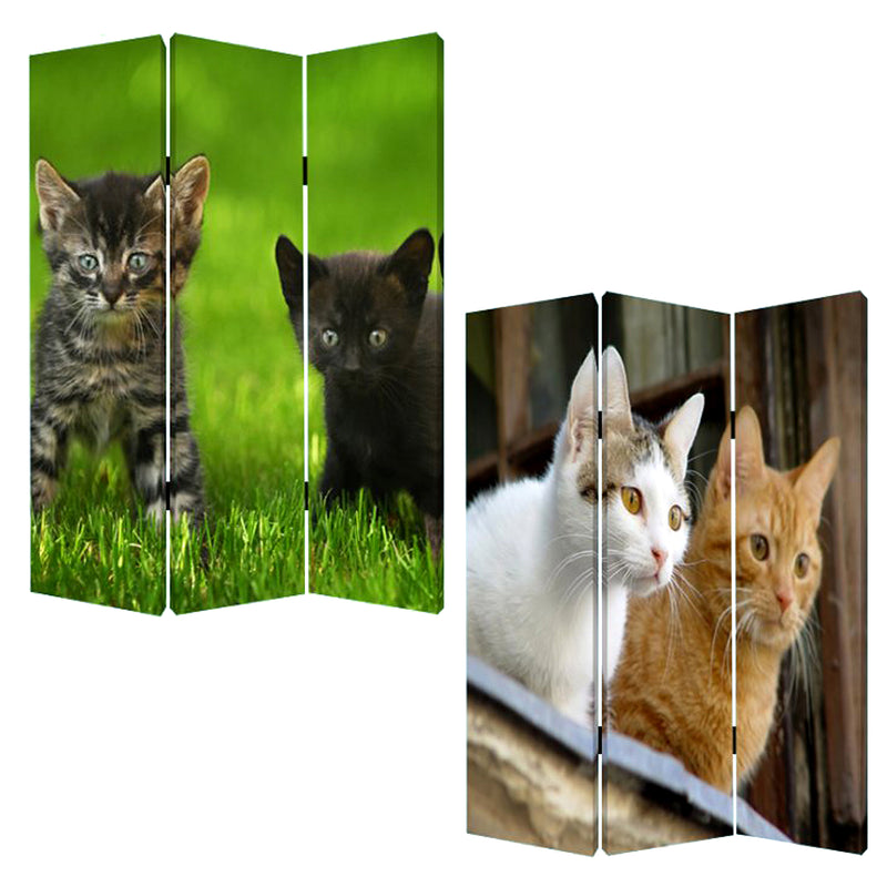 Screen Gems Curious Cat Screen-zoom-