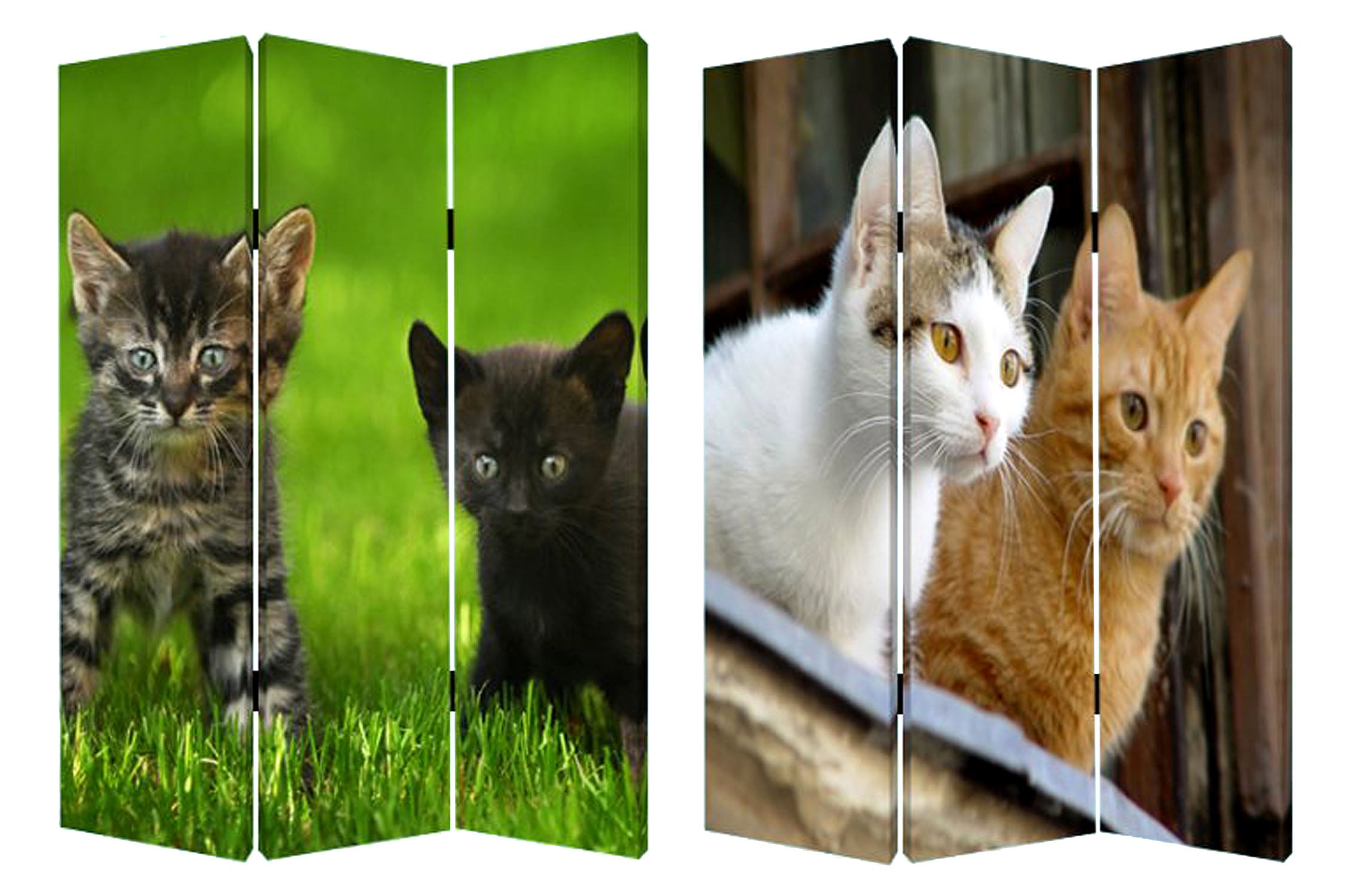 Screen Gems Curious Cat Screen-zoom-5