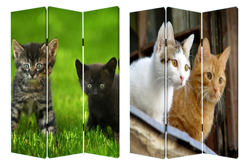 Screen Gems Curious Cat Screen-zoom-
