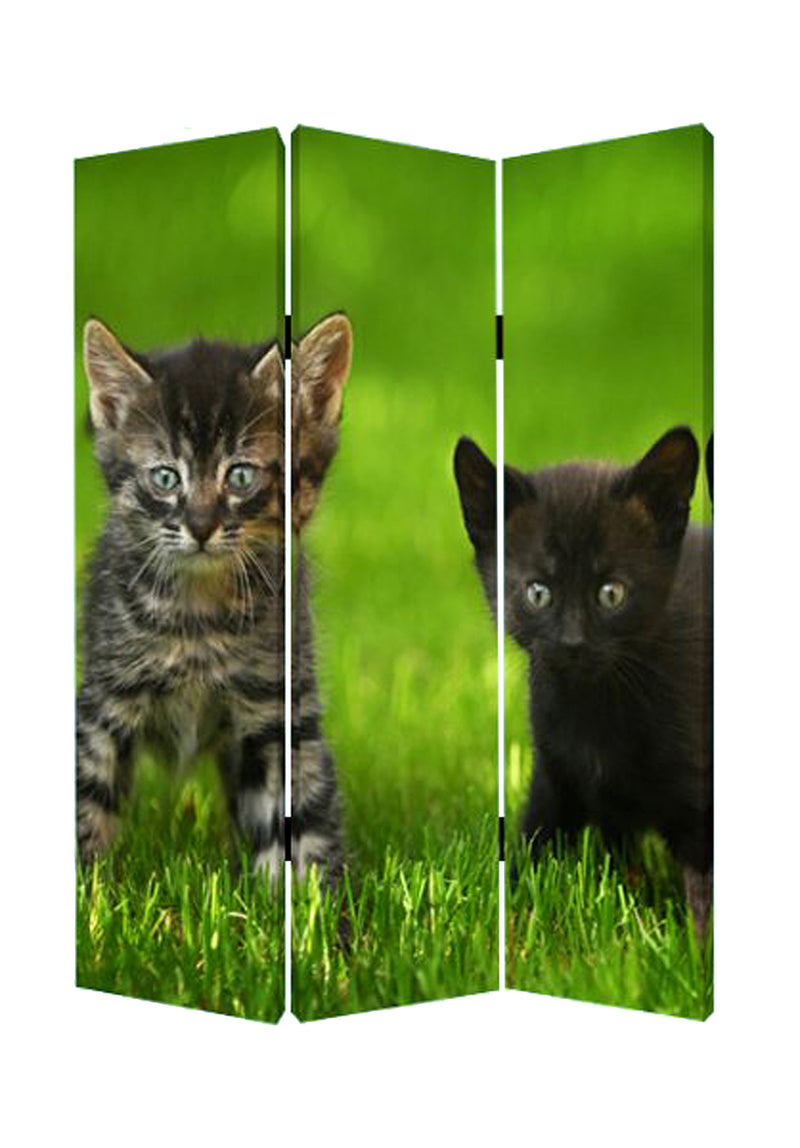 Screen Gems Curious Cat Screen-zoom-