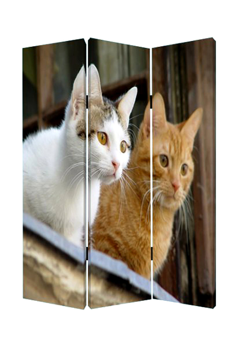 Screen Gems Curious Cat Screen-zoom-