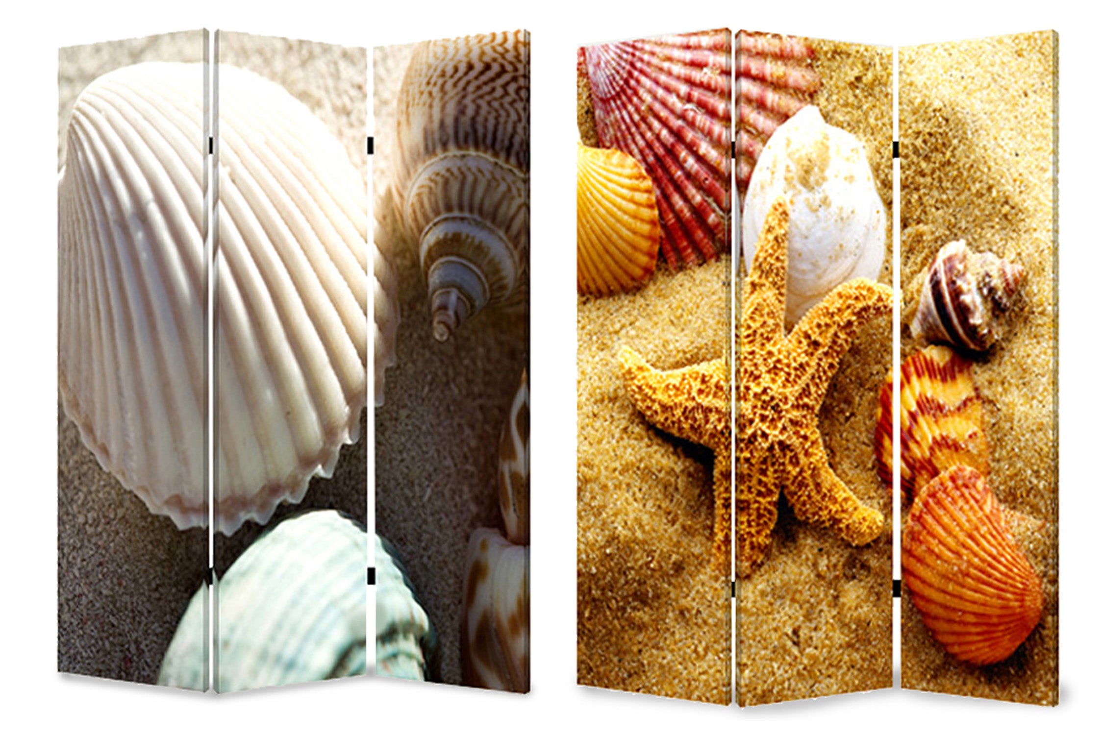 Screen Gems Sea Shell Screen-zoom-5