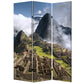 Screen Gems MACHU PICCHU SCREEN