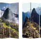 Screen Gems MACHU PICCHU SCREEN