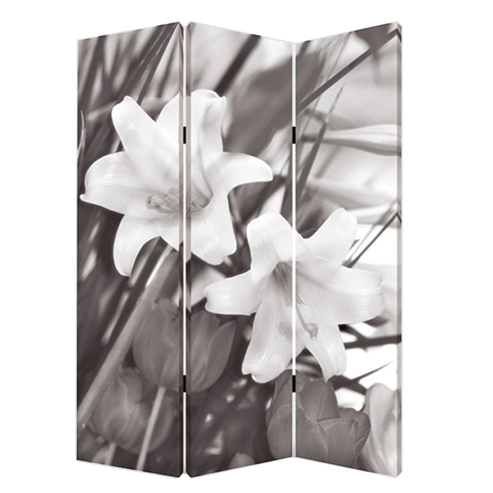 Screen Gems Lilly Screen-zoom-4