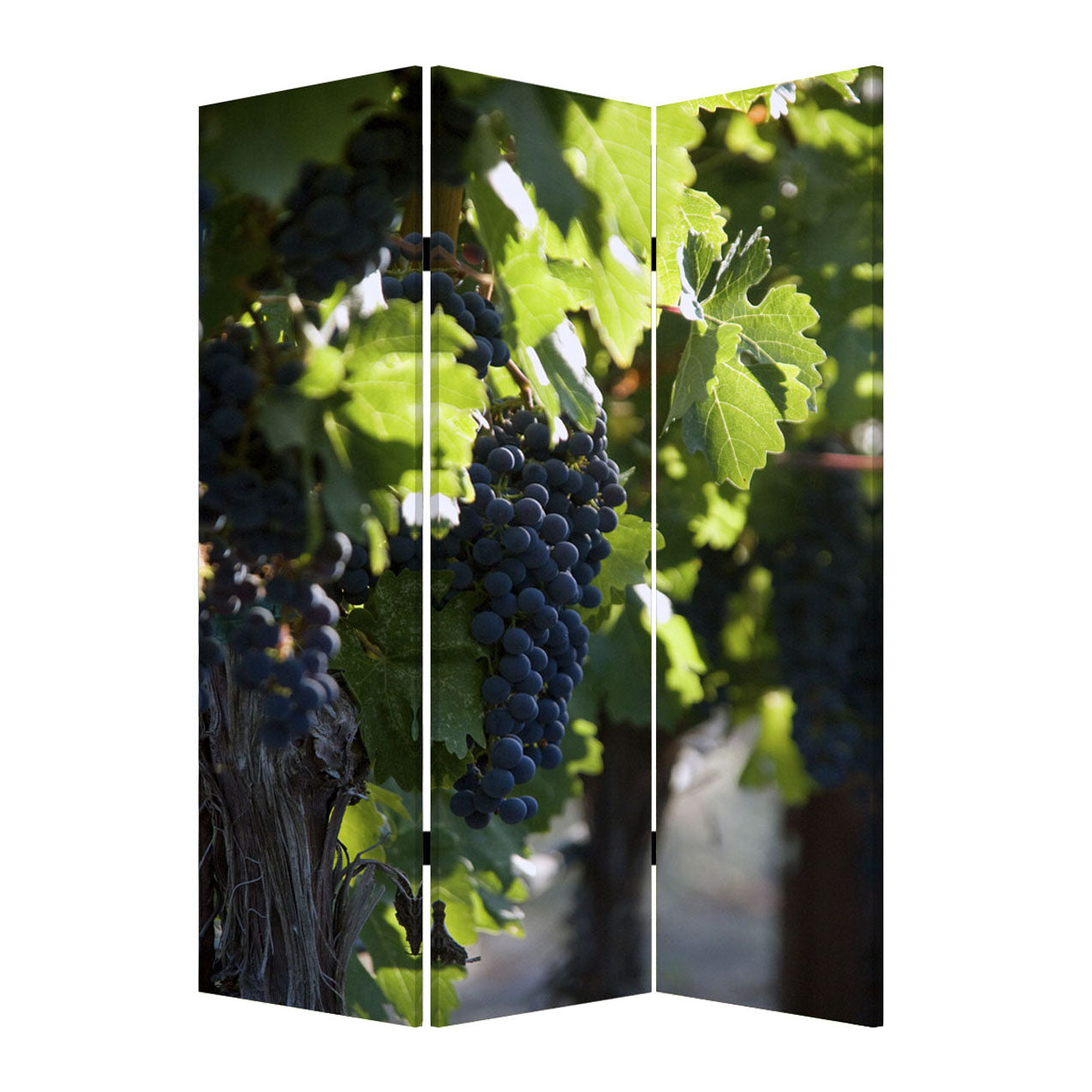 Screen Gems Wine Country Screen-zoom-4