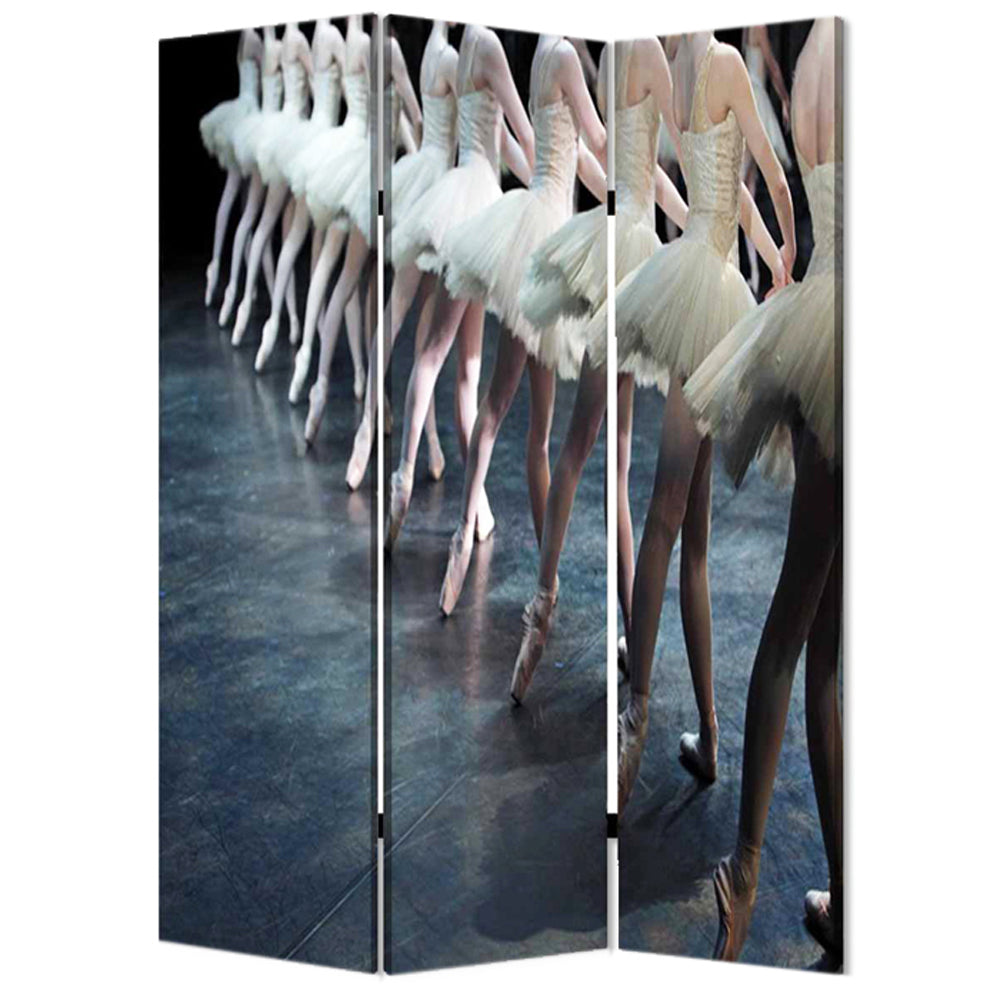 Screen Gems Ballet Screen-zoom-5