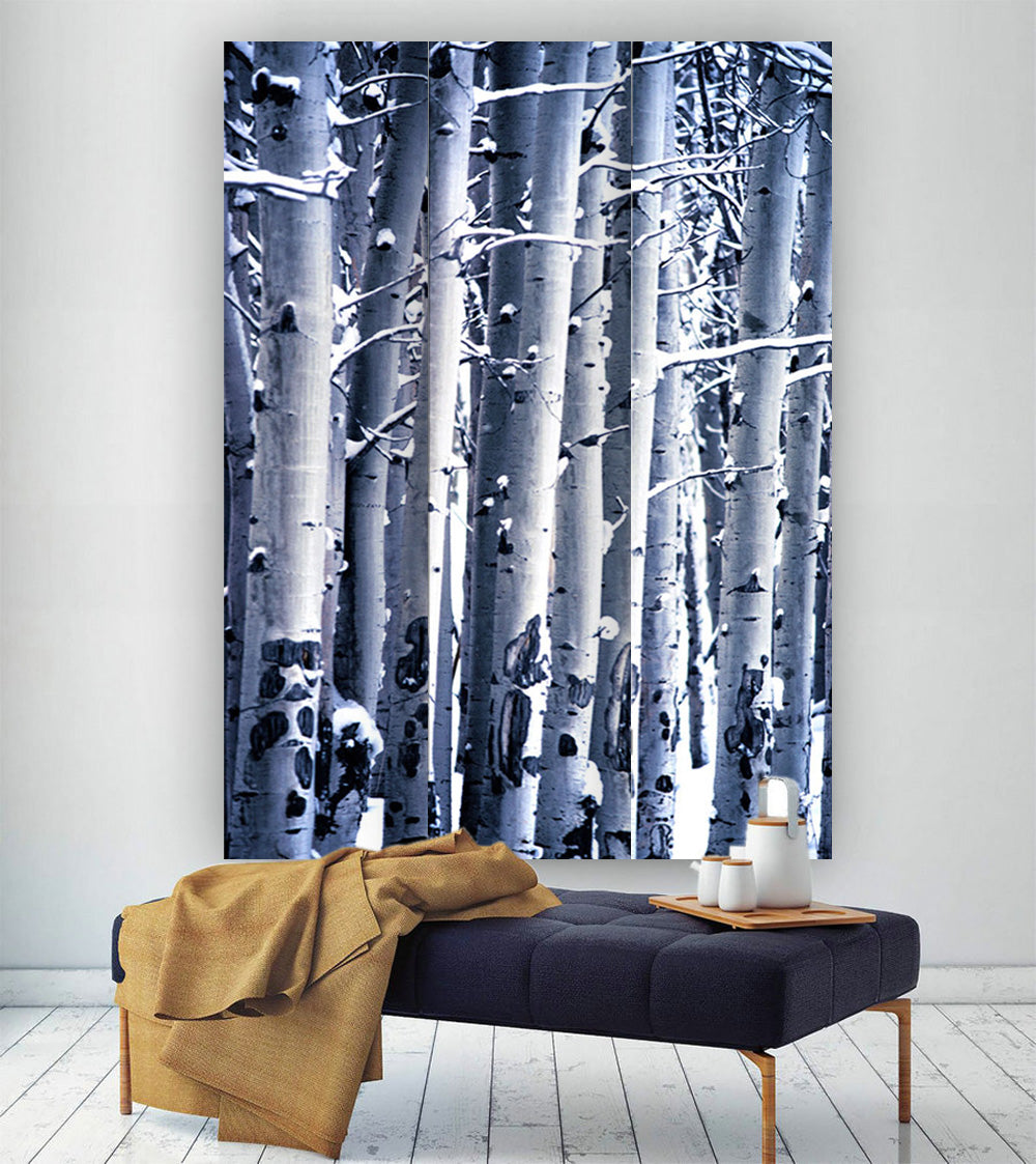 Screen Gems Birch Screen