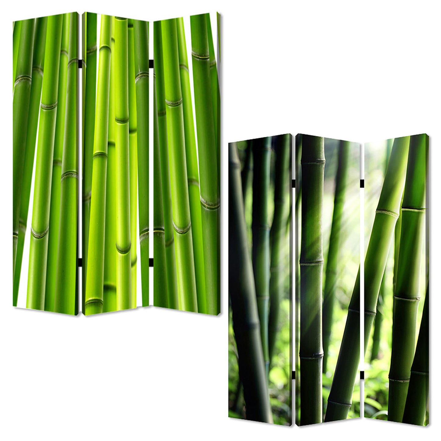 Screen Gems Bamboo Screen