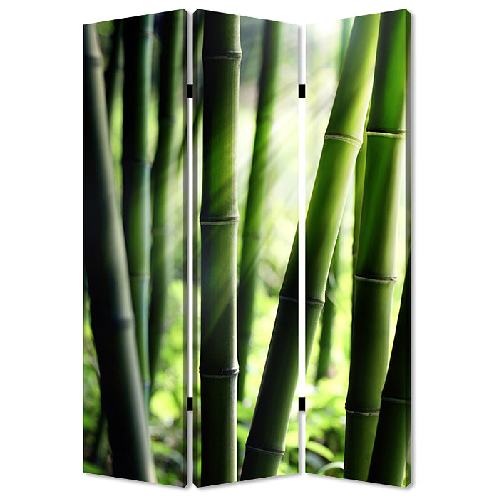 Screen Gems Bamboo Screen