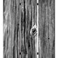 Screen Gems Distressed Wood Canvas Screen