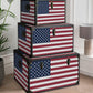 Screen Gems Americana Trunks