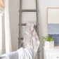 Screen Gems 6 Step Blankrock Decorative Wooden Ladder Grey