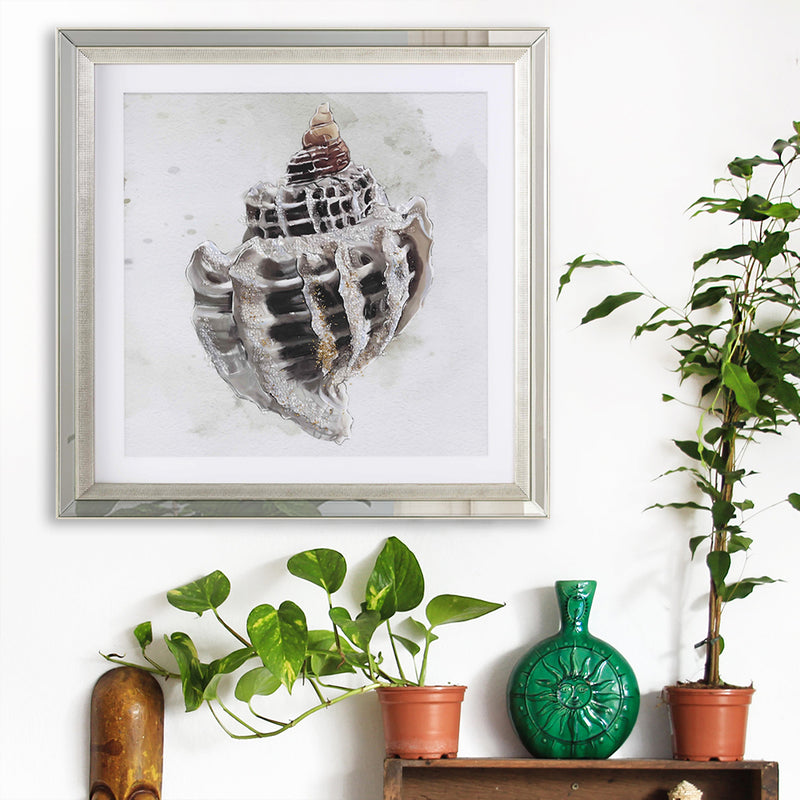 Nautical Sea Shell Framed Wall Art-zoom-
