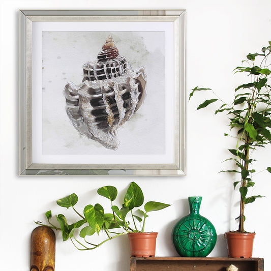 Nautical Sea Shell Framed Wall Art