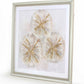 Sand Dollars Framed Wall Art