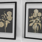 Gold Botanical Floral Framed Wall Art