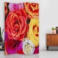 Screen Gems Daisy And Rose Screen