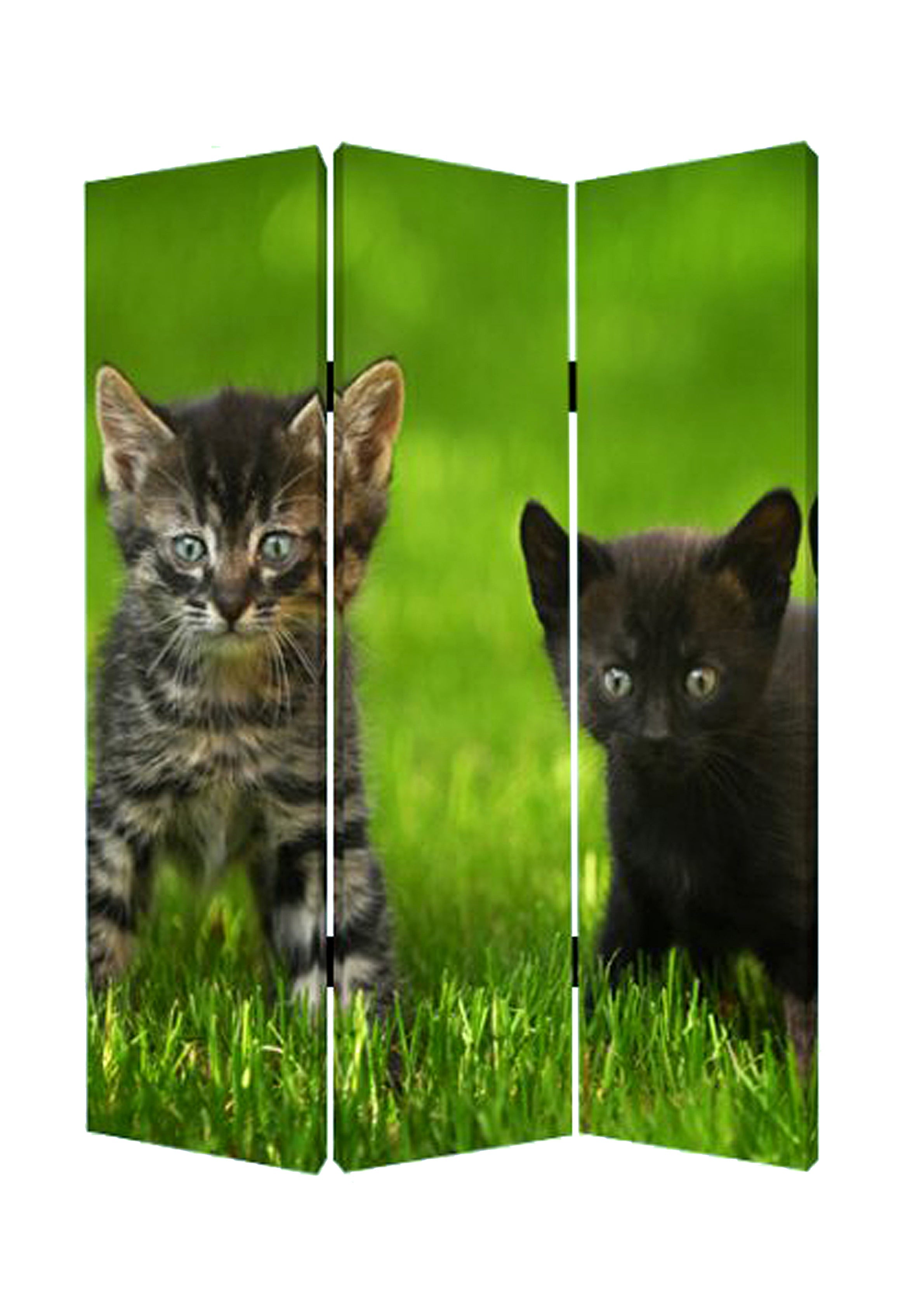 Screen Gems Curious Cat Screen-zoom-1