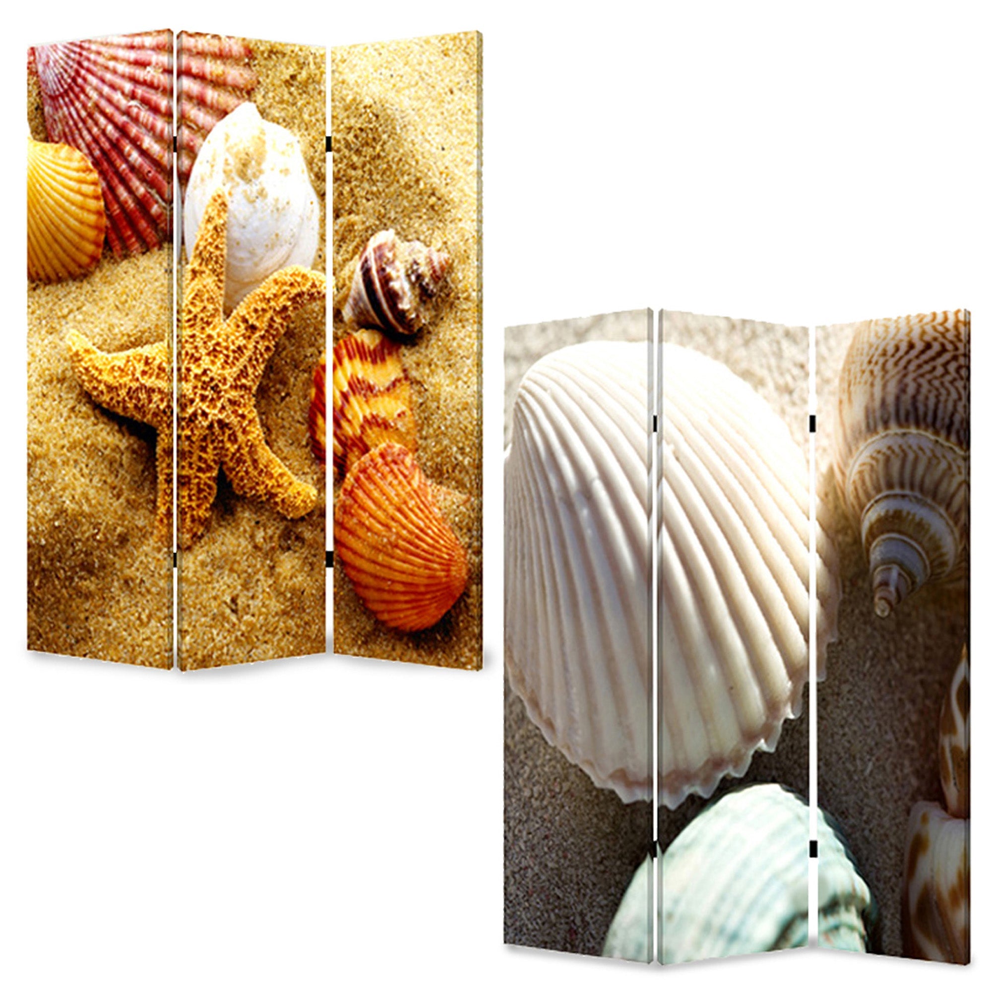 Screen Gems Sea Shell Screen-zoom-1
