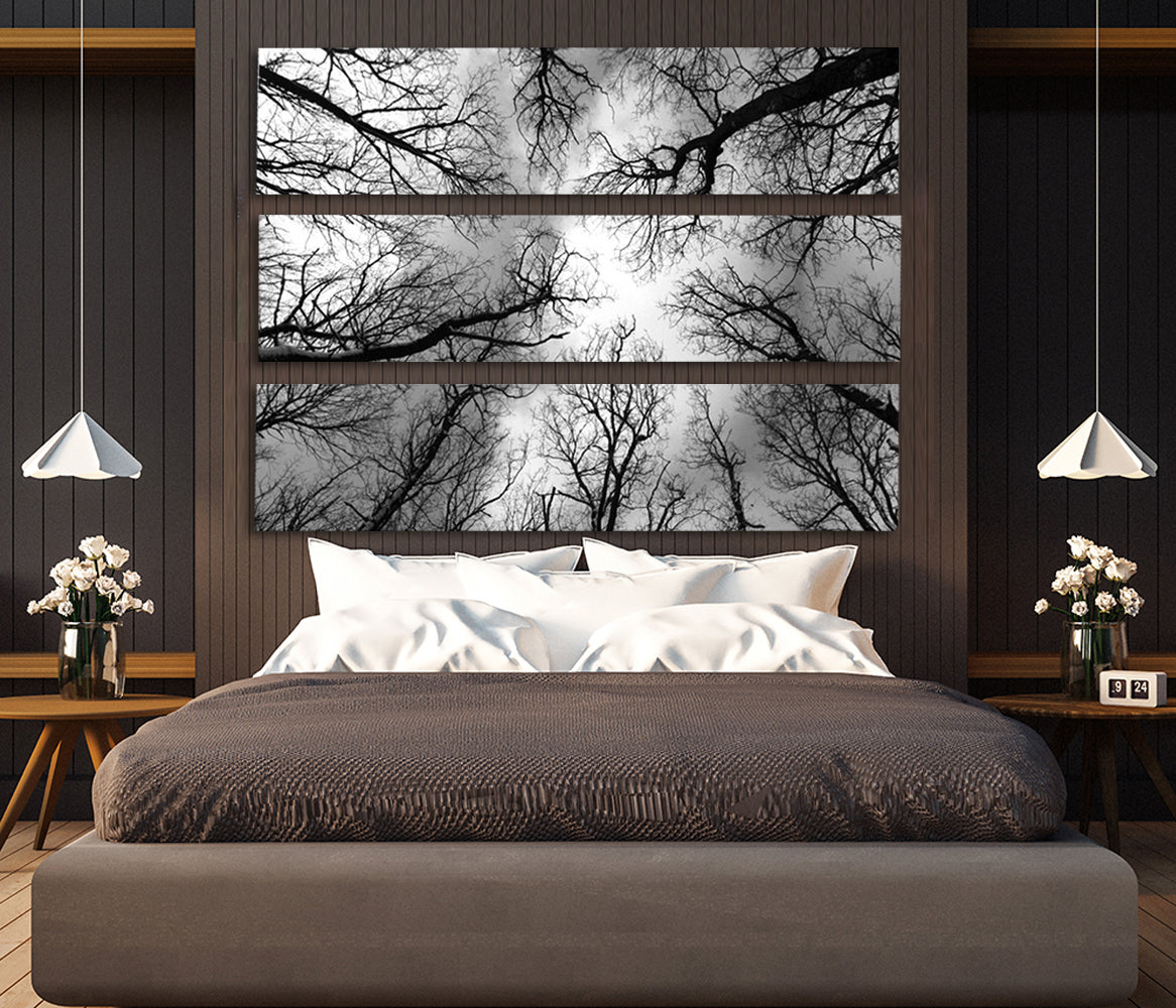 Screen Gems Forest Screen-zoom-1